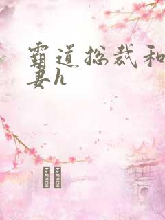 霸道总裁和小娇妻h