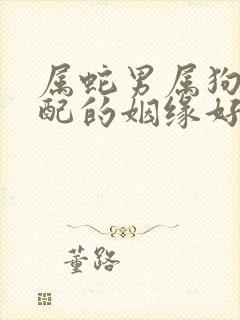 属蛇男属狗女相配的姻缘好吗