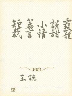 短篇小说霸道总裁言情甜宠