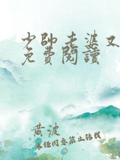 少帅老婆又跑了免费阅读