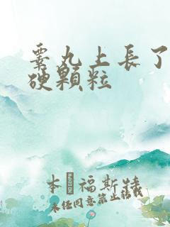 睾丸上长了白色硬颗粒