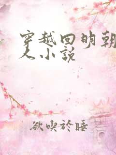 穿越回明朝的同人小说