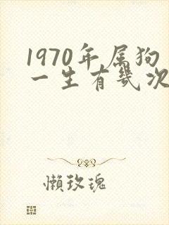1970年属狗一生有几次婚姻
