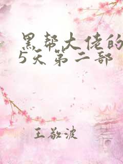 黑帮大佬的365天第二部