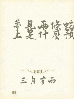 梦见两条蛇在床上是什么预兆