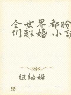 全世界都盼着我们离婚 小说