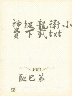 神级龙卫小说免费下载txt