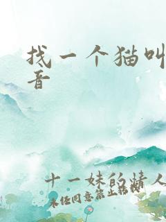 找一个猫叫的声音