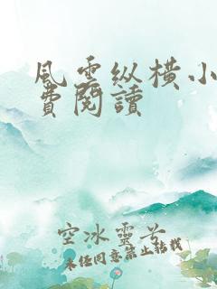 风云纵横小说免费阅读