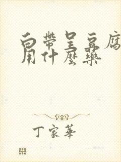 白带呈豆腐渣状用什么药