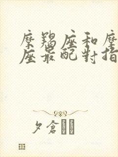 摩羯座和摩羯星座最配对指数