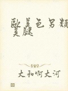 欧美色另类丝袜美腿