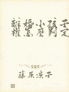 离婚小孩子抚养权怎么判定抚养费