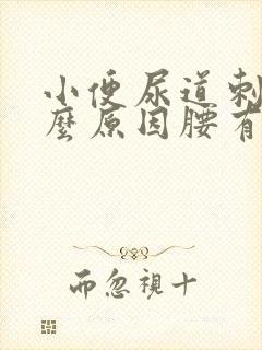 小便尿道刺痛什么原因腰有点疼