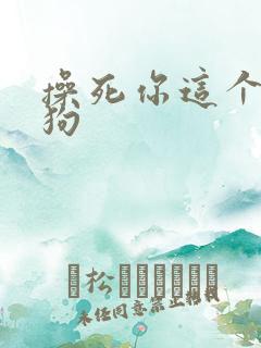 操死你这个骚母狗