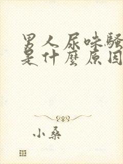 男人尿味骚气大是什么原因