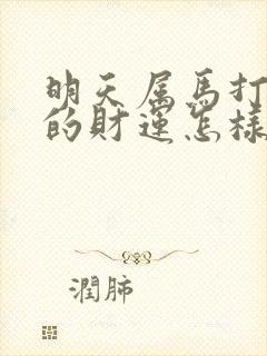 明天属马打麻将的财运怎样