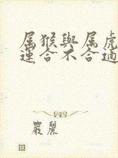 属猴与属虎的财运合不合适