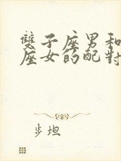 双子座男和狮子座女的配对指数是多少