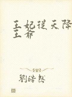 王妃从天降砸到王爷