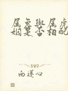 属兔与属虎的婚姻是否相配