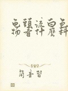 龟头流白色脓状物看什么科