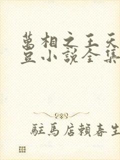 万相之王天蚕土豆小说全集免费阅读