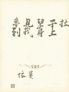 梦见儿子拉屎弄到我身上