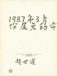 1987年3月份属兔的命运如何