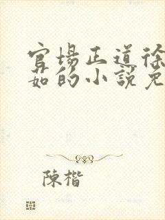 官场正道徐浪郑茹的小说免费阅读