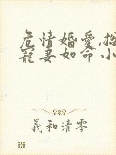 危情婚爱,总裁宠妻如命小说