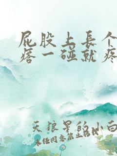 屁股上长个硬疙瘩一碰就疼