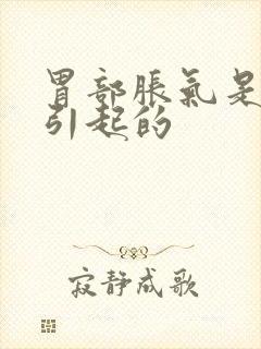 胃部胀气是什么引起的