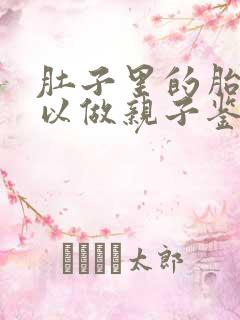 肚子里的胎儿可以做亲子鉴定吗?