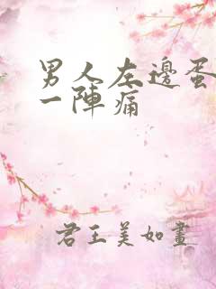 男人左边蛋一阵一阵痛