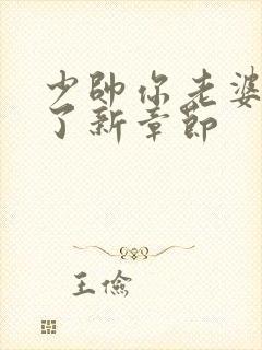 少帅你老婆又跑了新章节