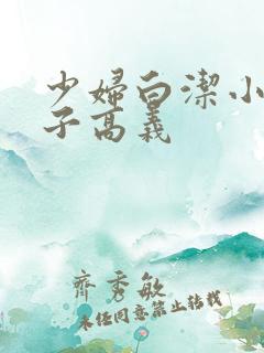 少妇白洁小说东子高义