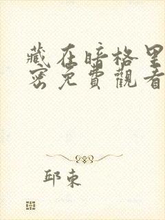 藏在暗格里的秘密免费观看完整版