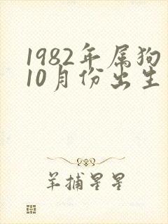 1982年属狗10月份出生命运