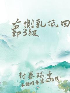 右侧乳低回声结节3级