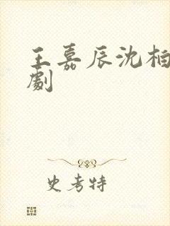 王嘉辰沈柏妍短剧