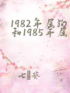 1982年属狗和1985年属牛合婚吗