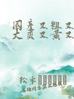 国产又粗又猛又大爽又黄又硬视频