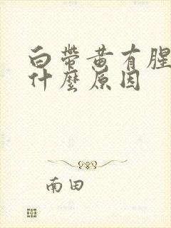 白带黄有腥味是什么原因