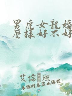 男虎女龙婚姻怎么样好不好