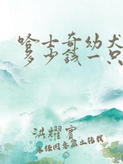 哈士奇幼犬价格多少钱一只