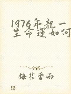 1976年龙一生命运如何