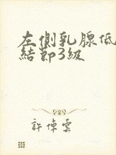 左侧乳腺低回声结节3级