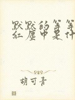 默默的等等你在红尘中是什么歌名