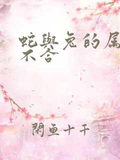 蛇与兔的属相合不合